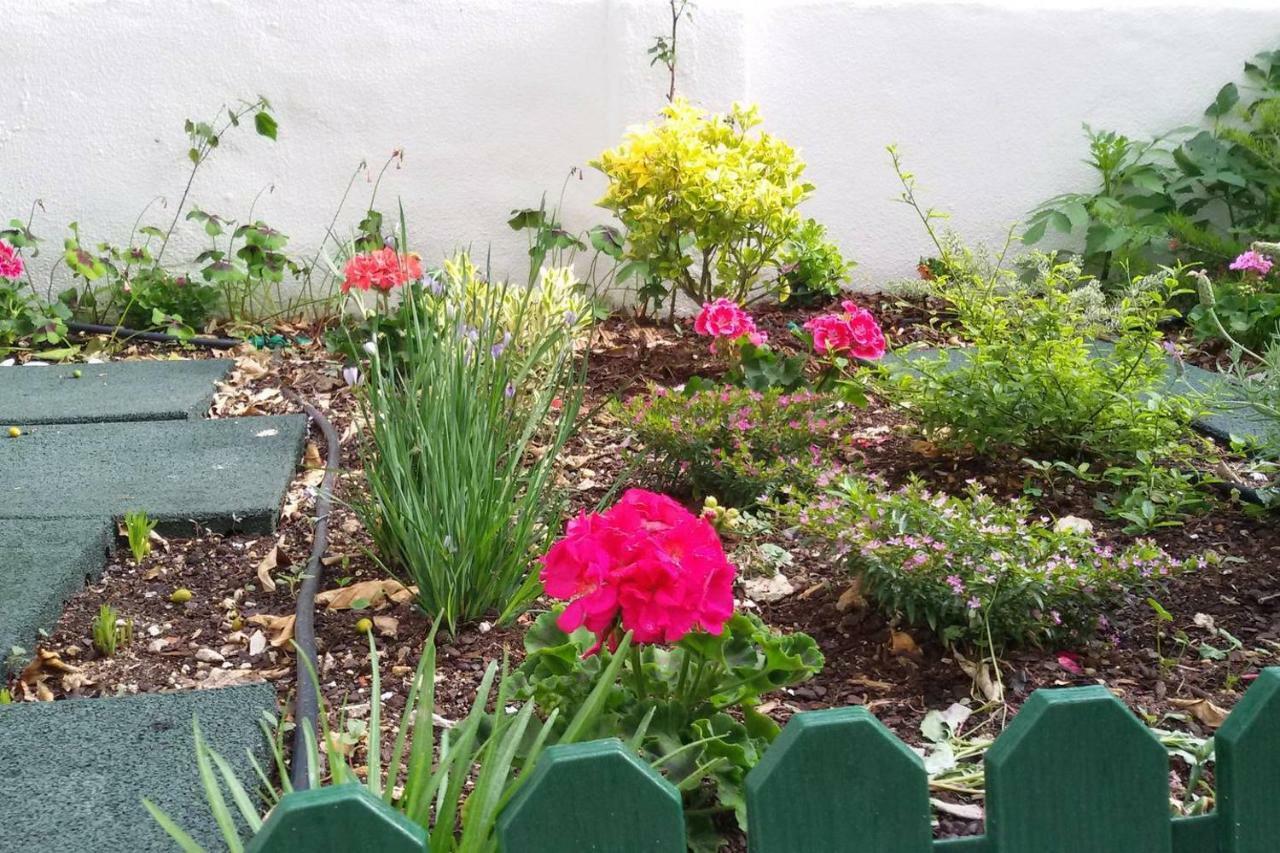 Sunny Orange Garden Apartment In Central Lisboa Εξωτερικό φωτογραφία
