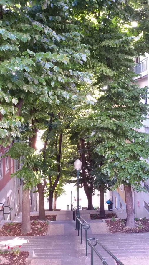 Sunny Orange Garden Apartment In Central Lisboa Εξωτερικό φωτογραφία