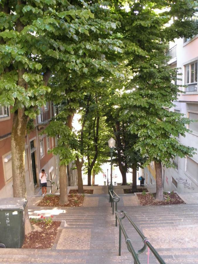 Sunny Orange Garden Apartment In Central Lisboa Εξωτερικό φωτογραφία